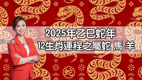 2010年生肖運程|【2010年屬什麼】2010年屬什麼？民國幾年？還能解答你的生肖。